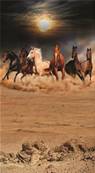 Drap de plage 100x180 cm <BR> Chevaux