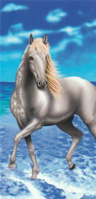 Serviette de plage 75x155 cm <BR>Cheval
