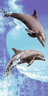 Serviette de plage 75x155 cm <BR>Couple dauphins